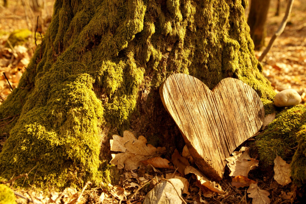 Tree with heart